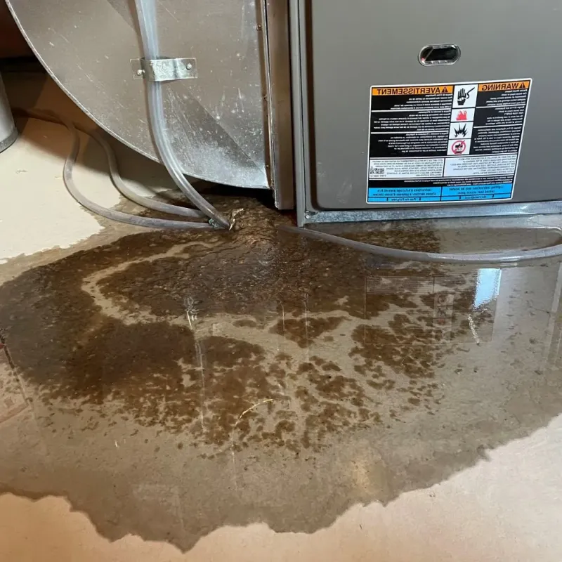 Pipe Burst and Leak Restoration in Black Hawk County, IA