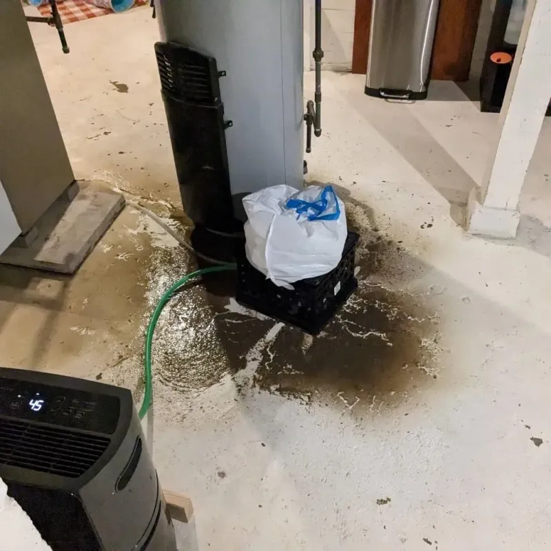 Sewage Backup Cleanup Service in Black Hawk County, IA